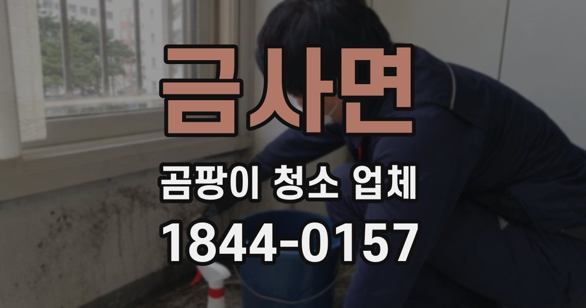 금사면 곰팡이 청소 업체