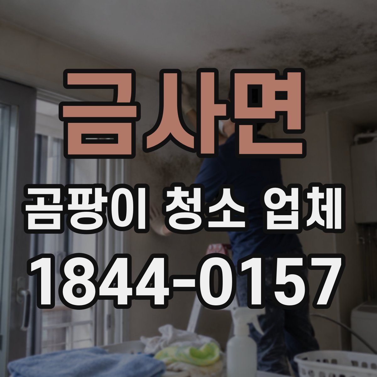 금사면 곰팡이 청소 업체