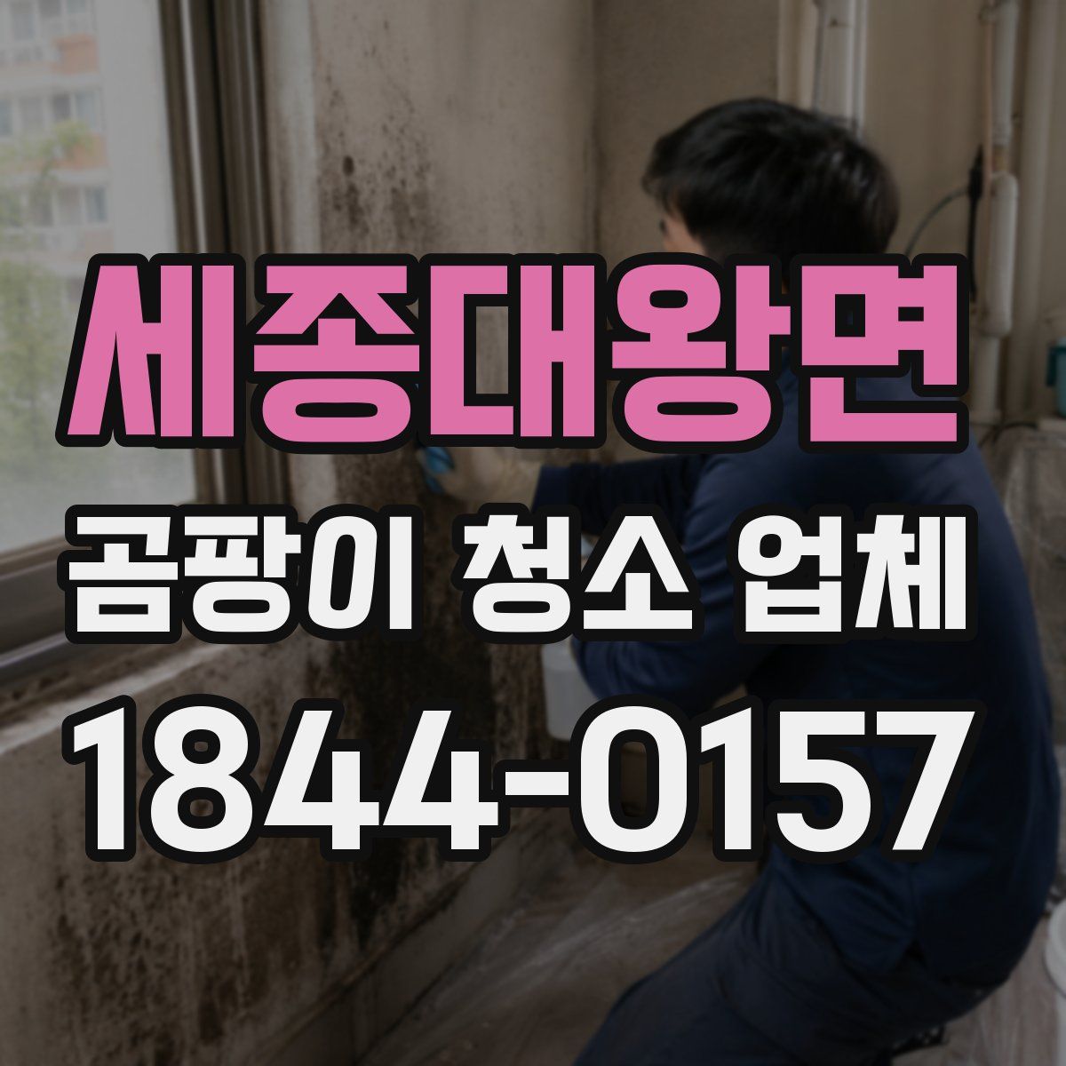 세종대왕면 곰팡이 청소 업체