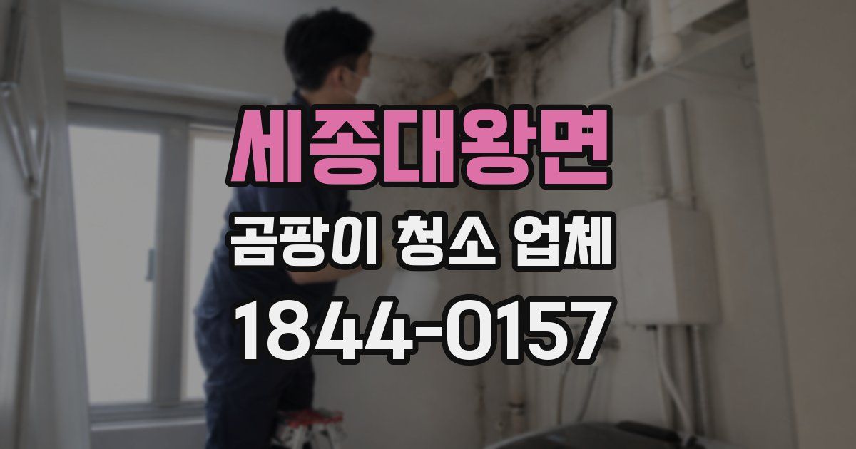 세종대왕면 곰팡이 청소 업체