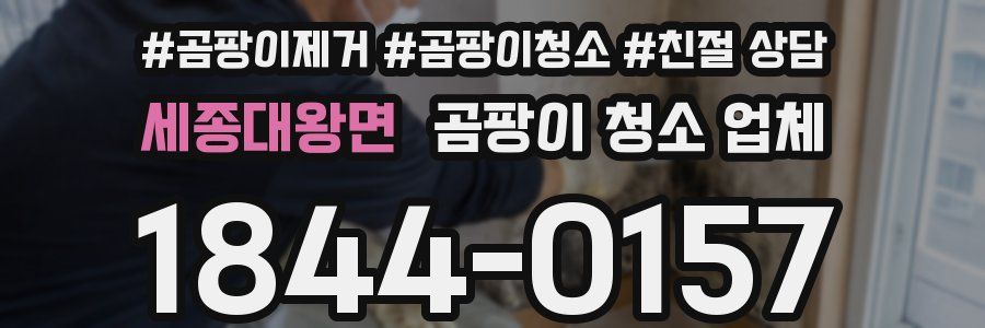 세종대왕면 곰팡이 청소 업체
