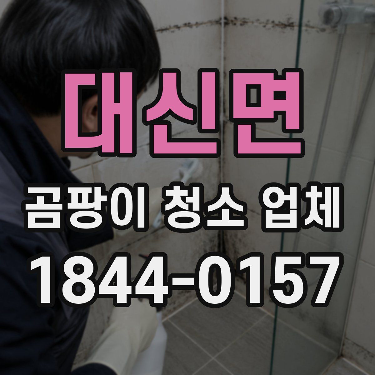 대신면 곰팡이 청소 업체