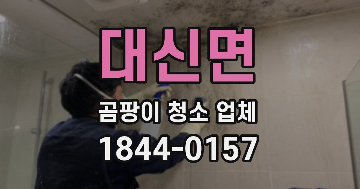 대신면 곰팡이 청소 업체
