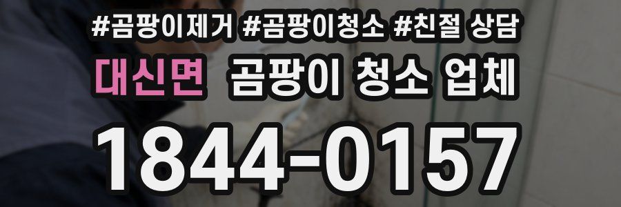 대신면 곰팡이 청소 업체