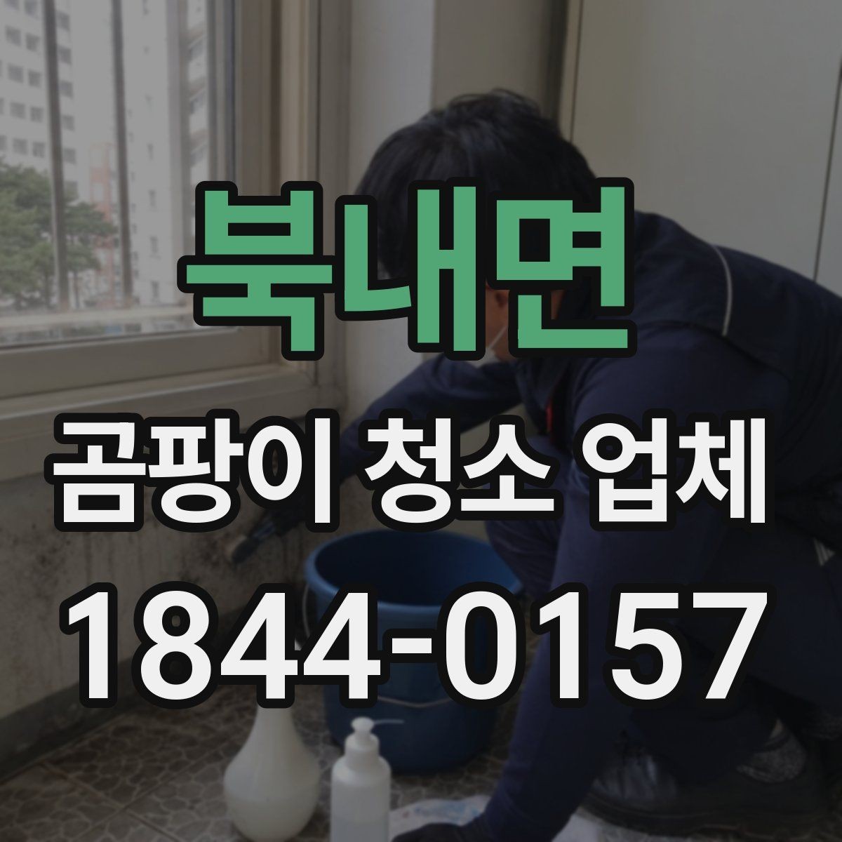 북내면 곰팡이 청소 업체 이용 후 생활 습관 점검하기