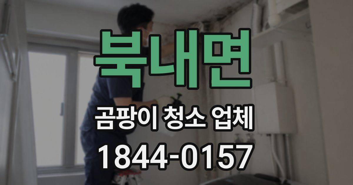 북내면 곰팡이 청소 업체