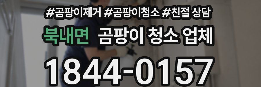 북내면 곰팡이 청소 업체