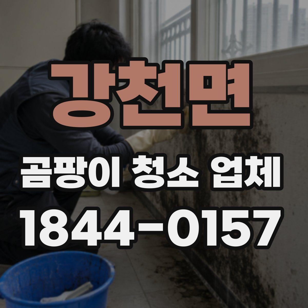 강천면 곰팡이 청소 업체 이용 전 알아두면 좋은 용어