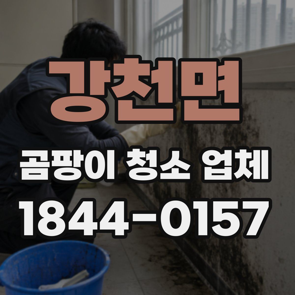 강천면 곰팡이 청소 업체