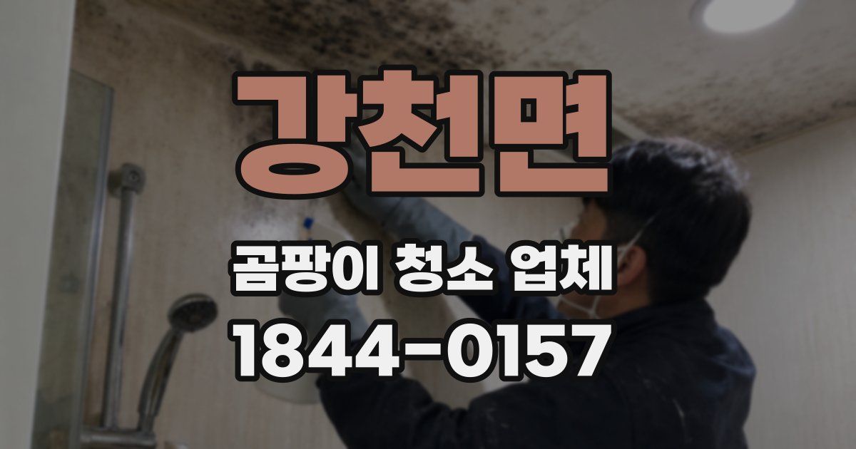 강천면 곰팡이 청소 업체