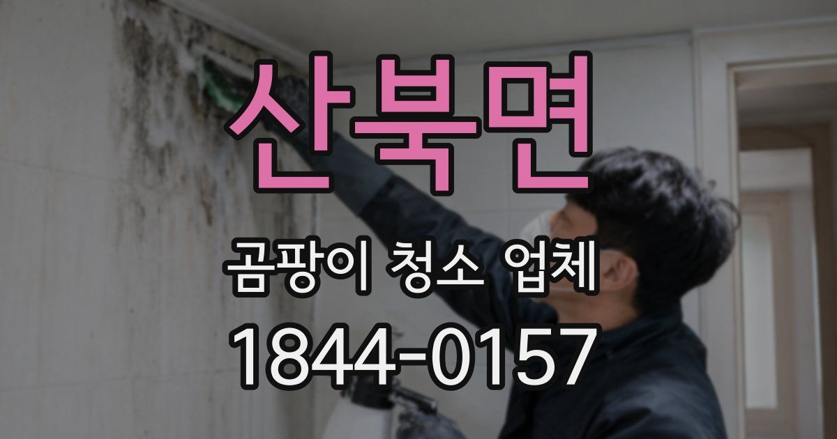 산북면 곰팡이 청소 업체