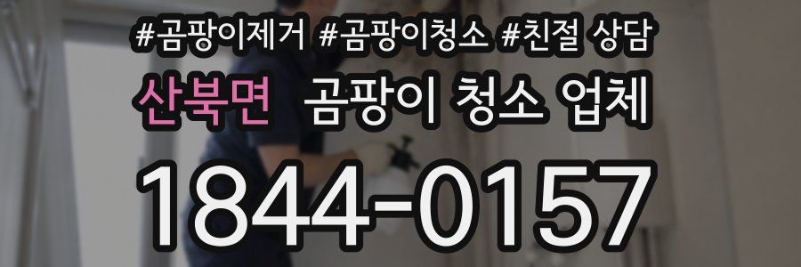 산북면 곰팡이 청소 업체