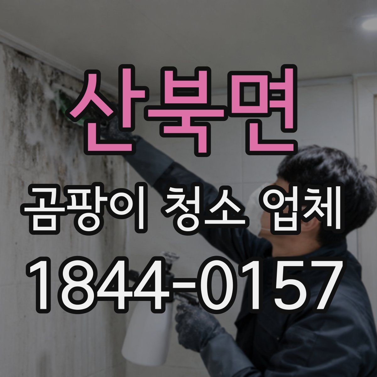 산북면 곰팡이 청소 업체