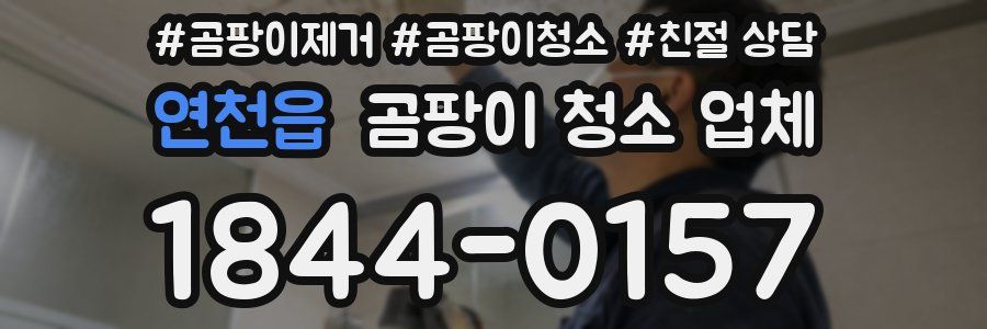 연천읍 곰팡이 청소 업체