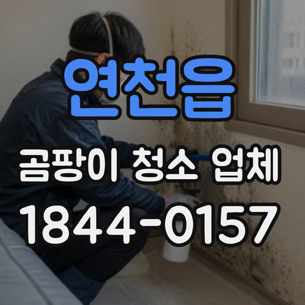 연천읍 곰팡이 청소 업체