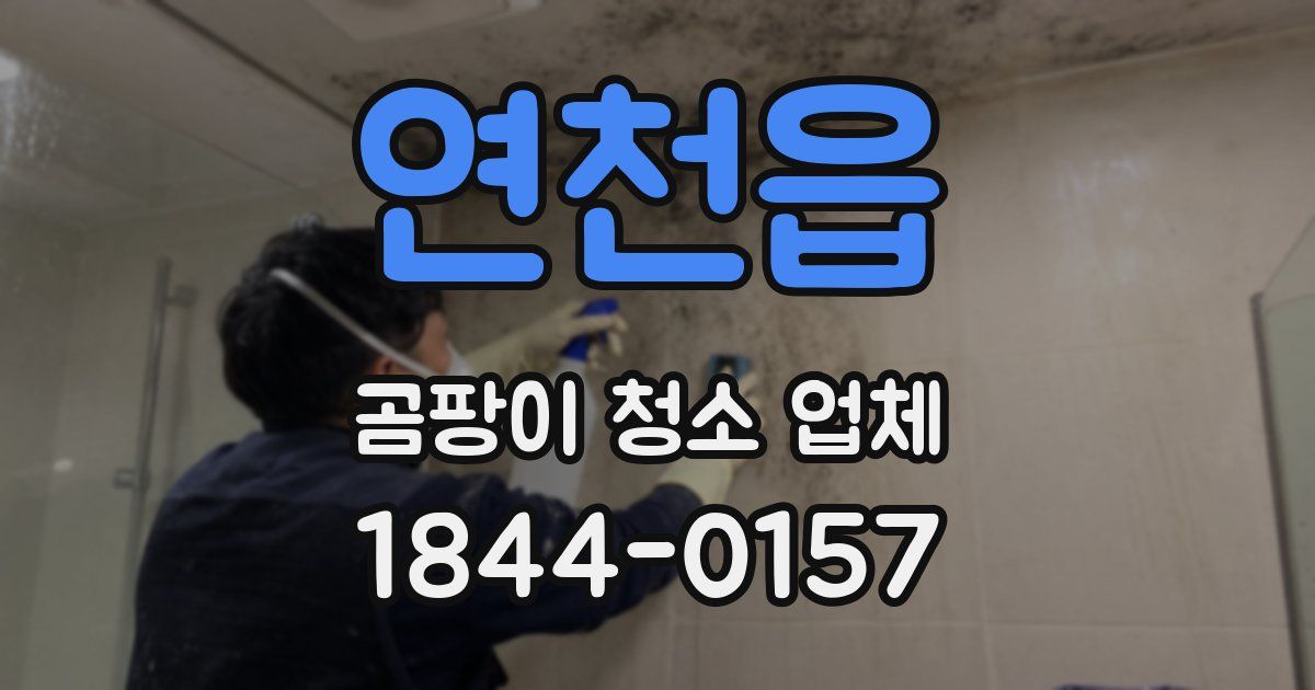 연천읍 곰팡이 청소 업체