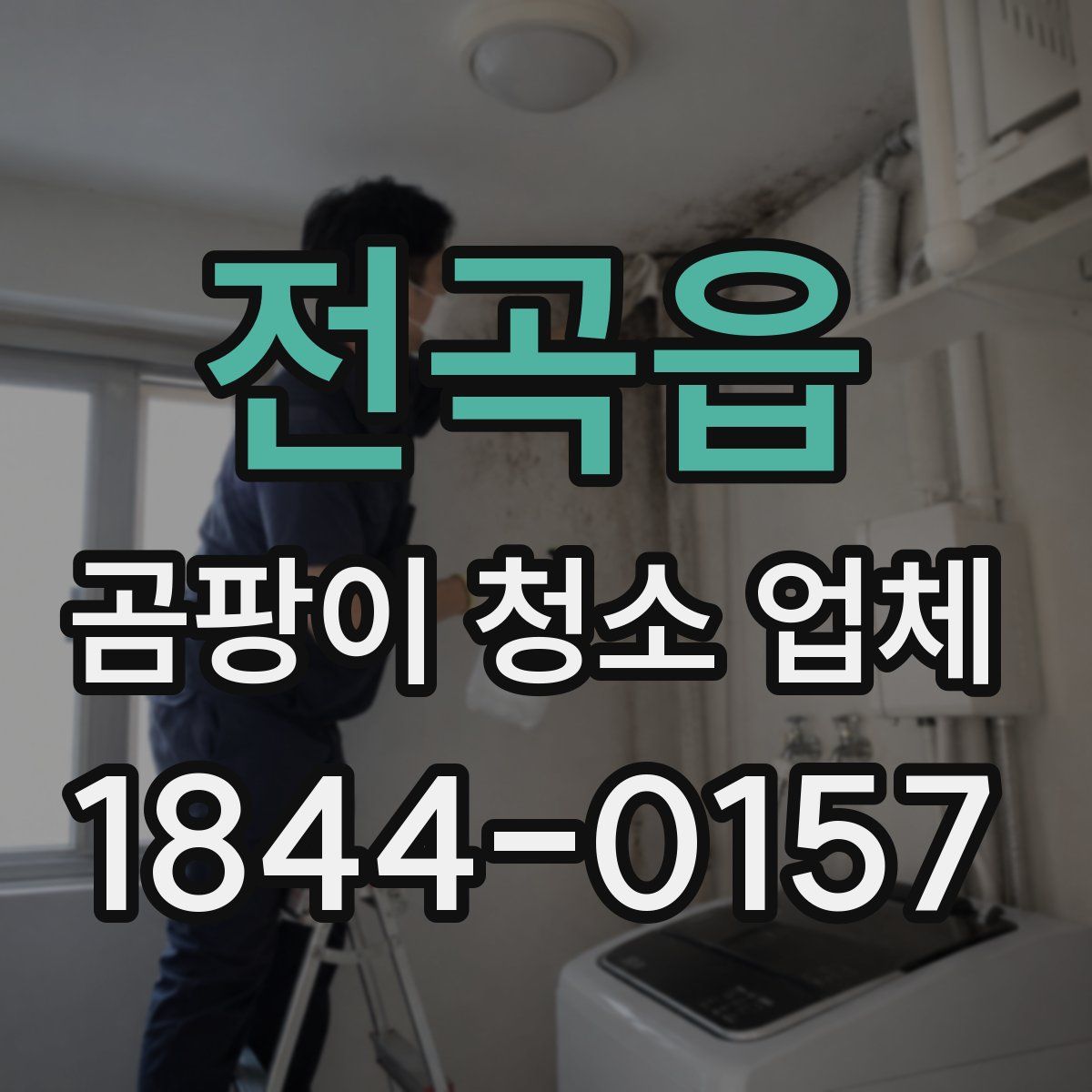 전곡읍 곰팡이 청소 업체