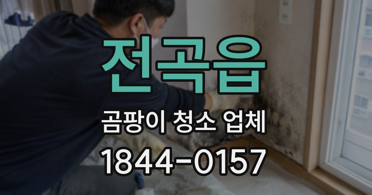 전곡읍 곰팡이 청소 업체