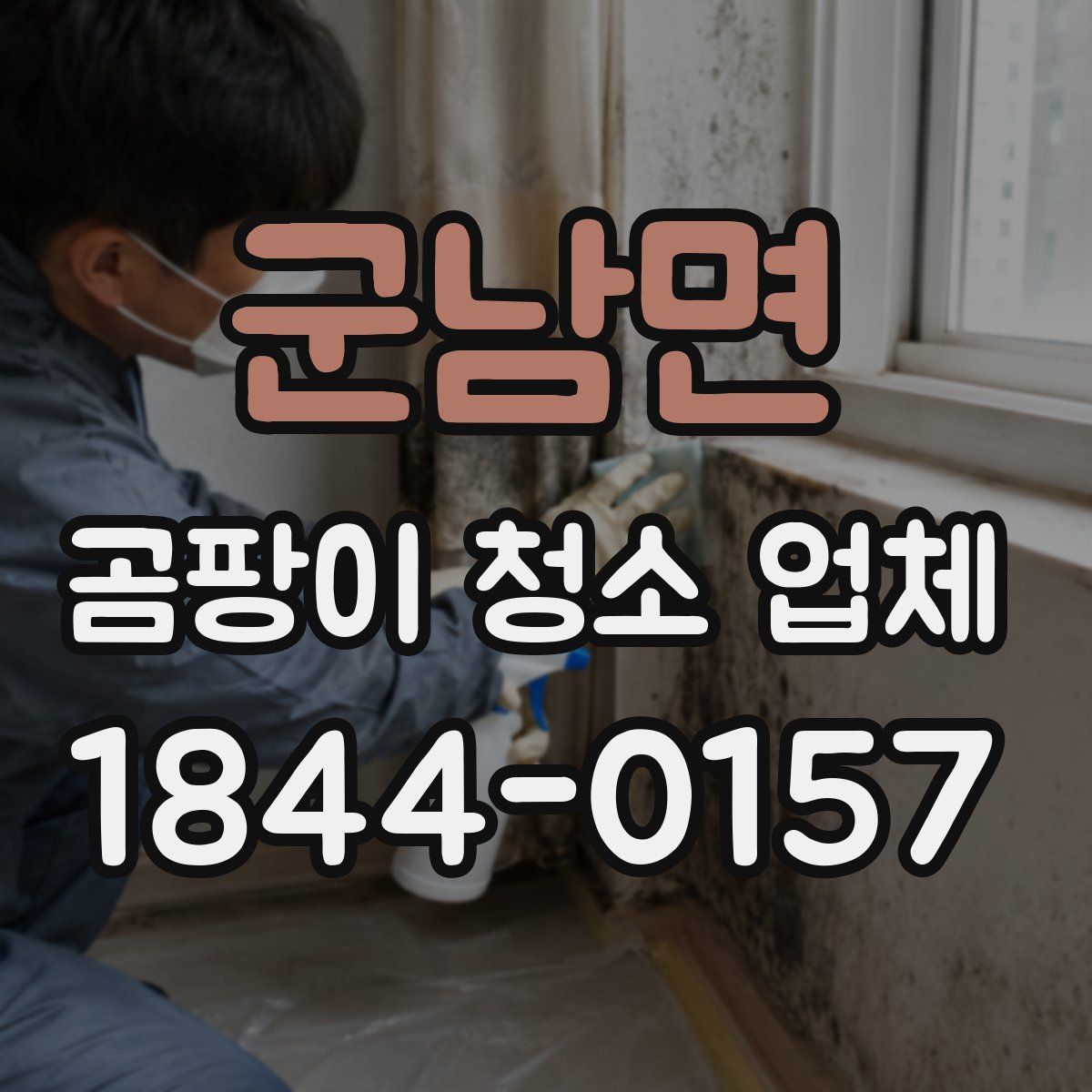 군남면 곰팡이 청소 업체
