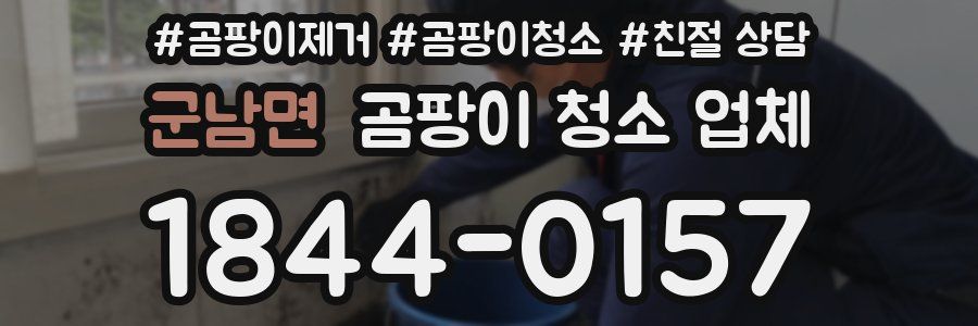 군남면 곰팡이 청소 업체