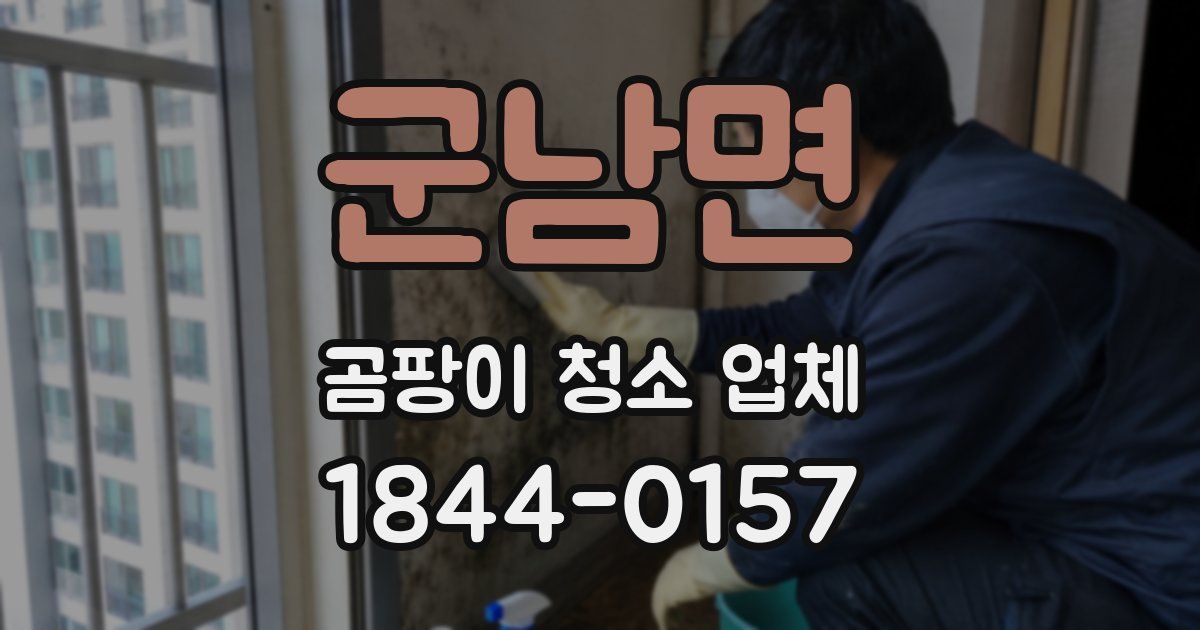 군남면 곰팡이 청소 업체