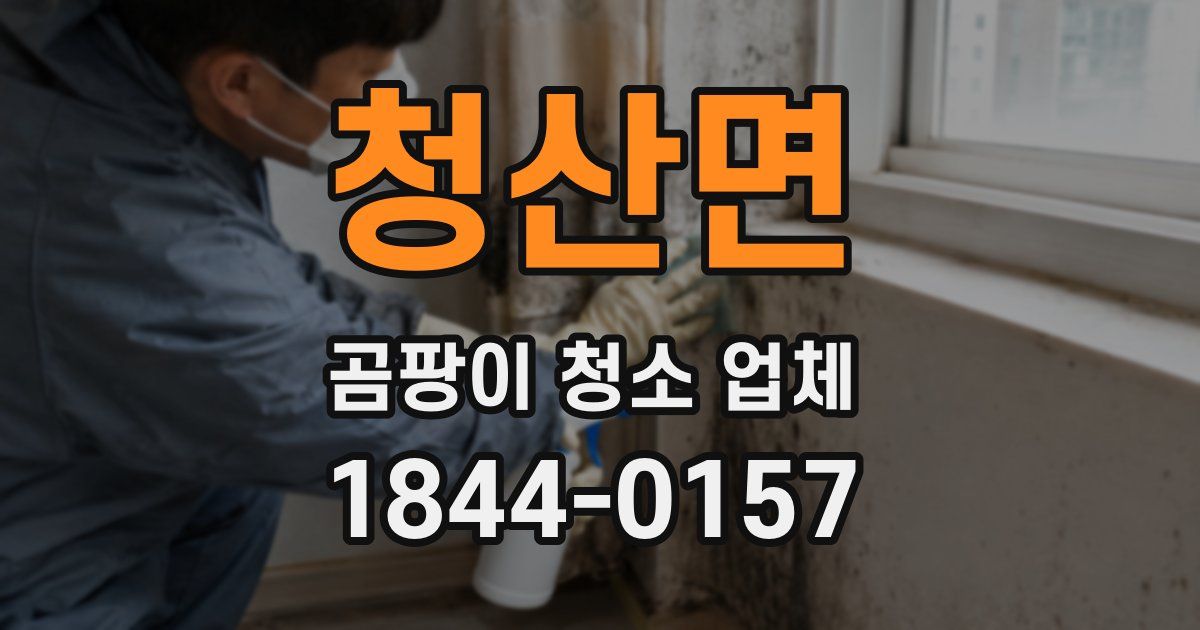 청산면 곰팡이 청소 업체