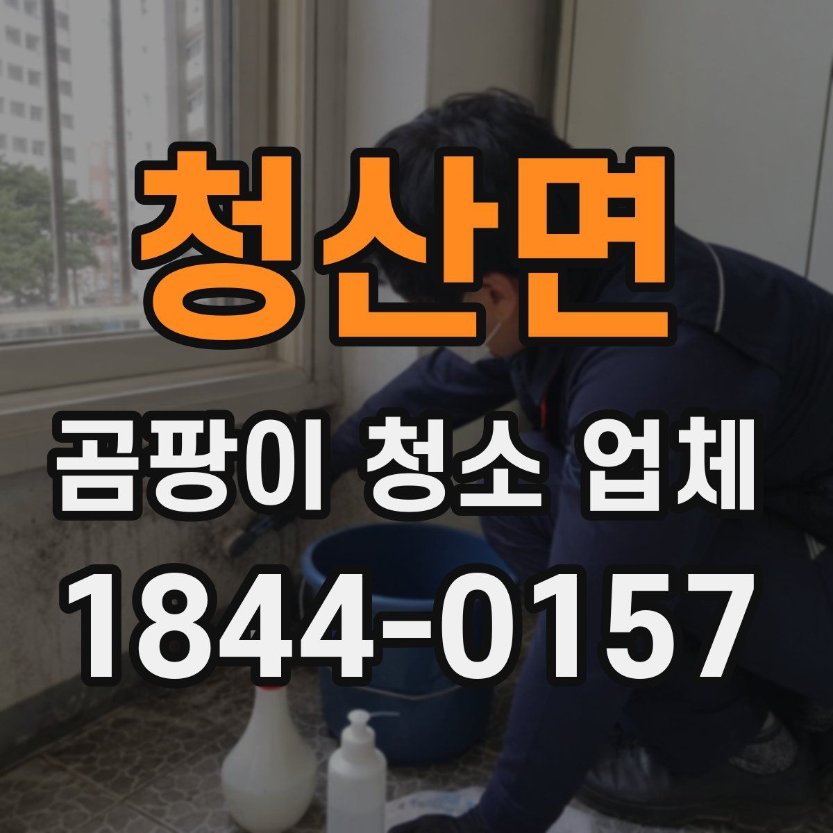 청산면 곰팡이 청소 업체