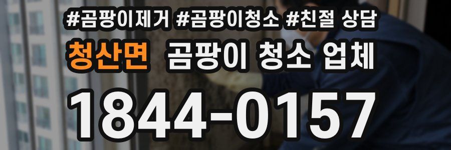 청산면 곰팡이 청소 업체