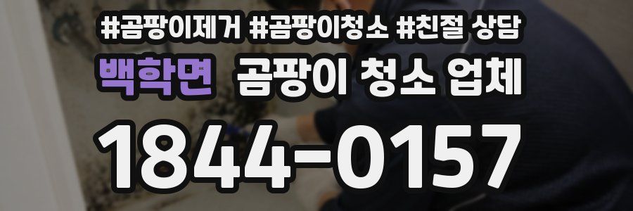 백학면 곰팡이 청소 업체
