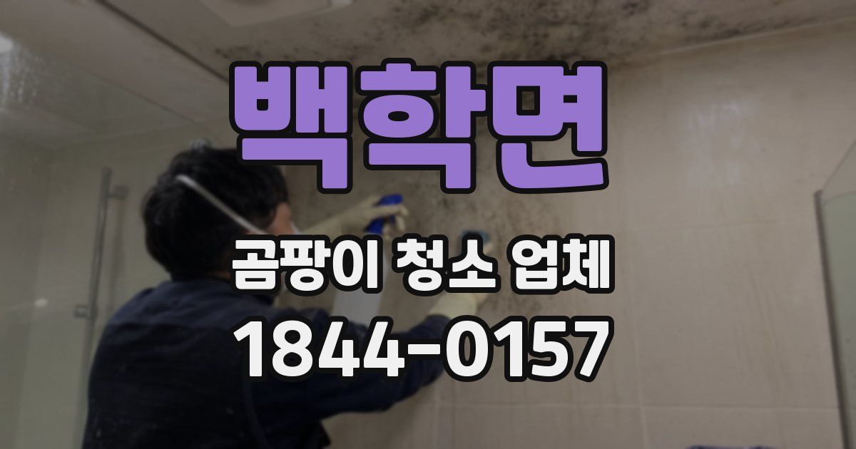 백학면 곰팡이 청소 업체