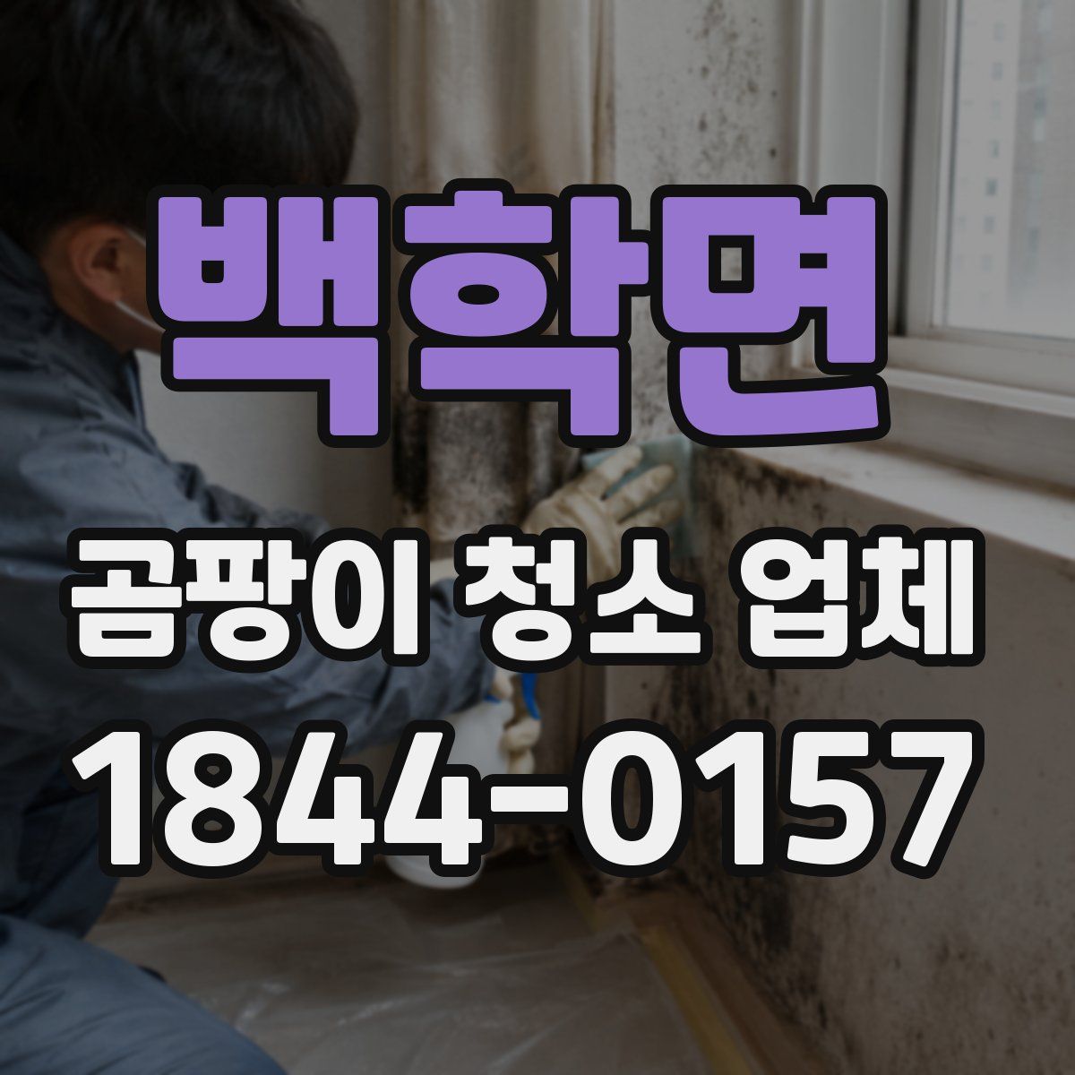 백학면 곰팡이 청소 업체