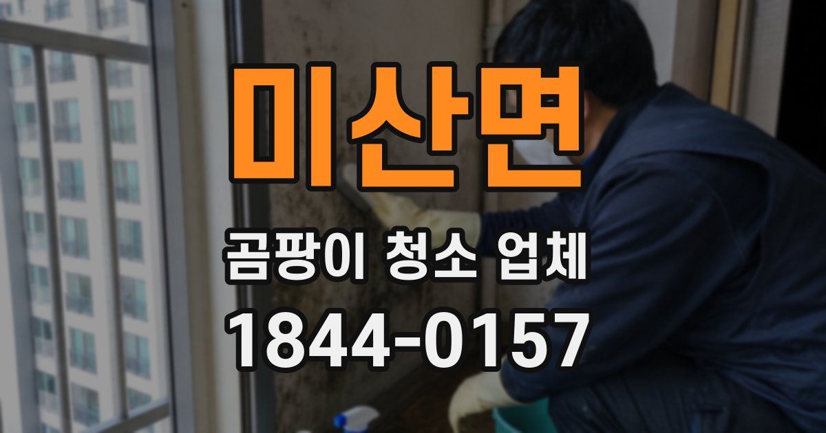 미산면 곰팡이 청소 업체