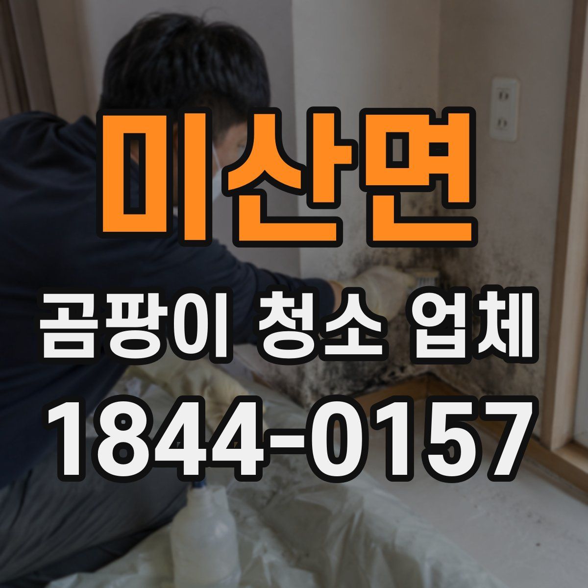 미산면 곰팡이 청소 업체