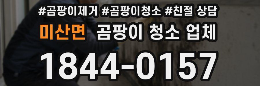 미산면 곰팡이 청소 업체