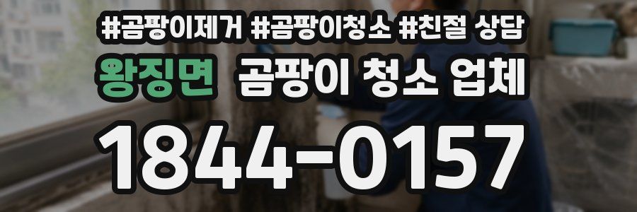 왕징면 곰팡이 청소 업체