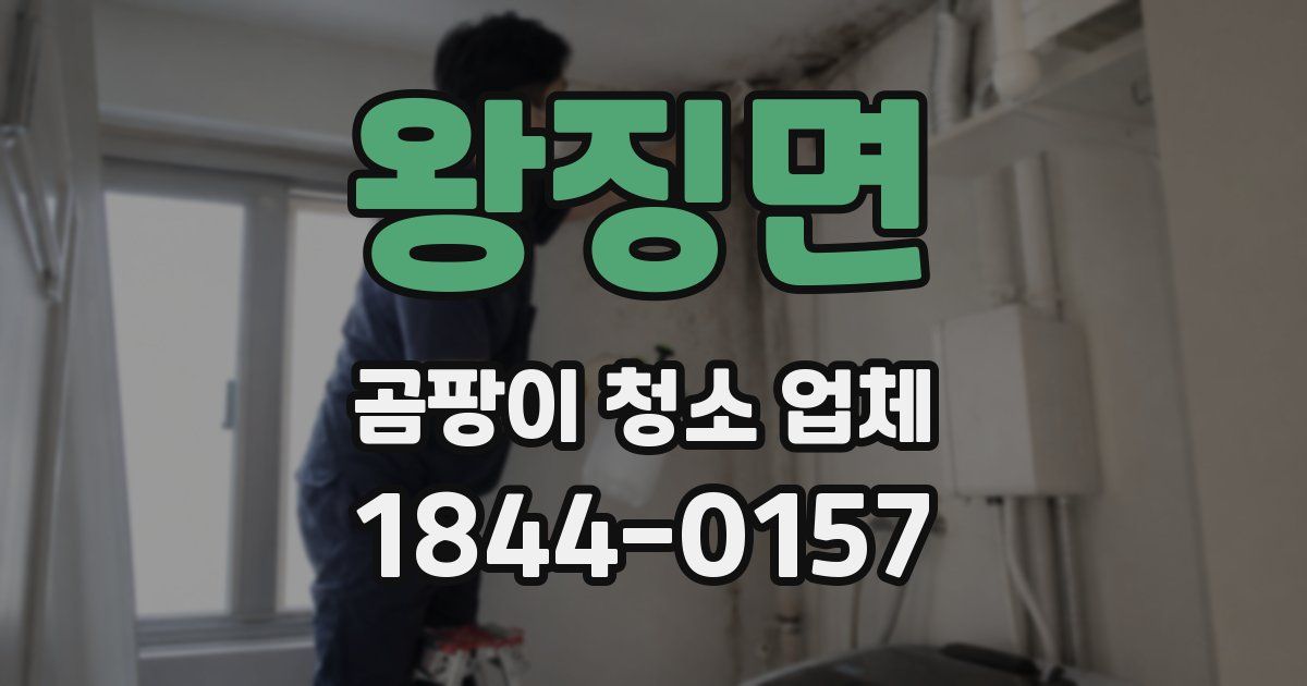 왕징면 곰팡이 청소 업체