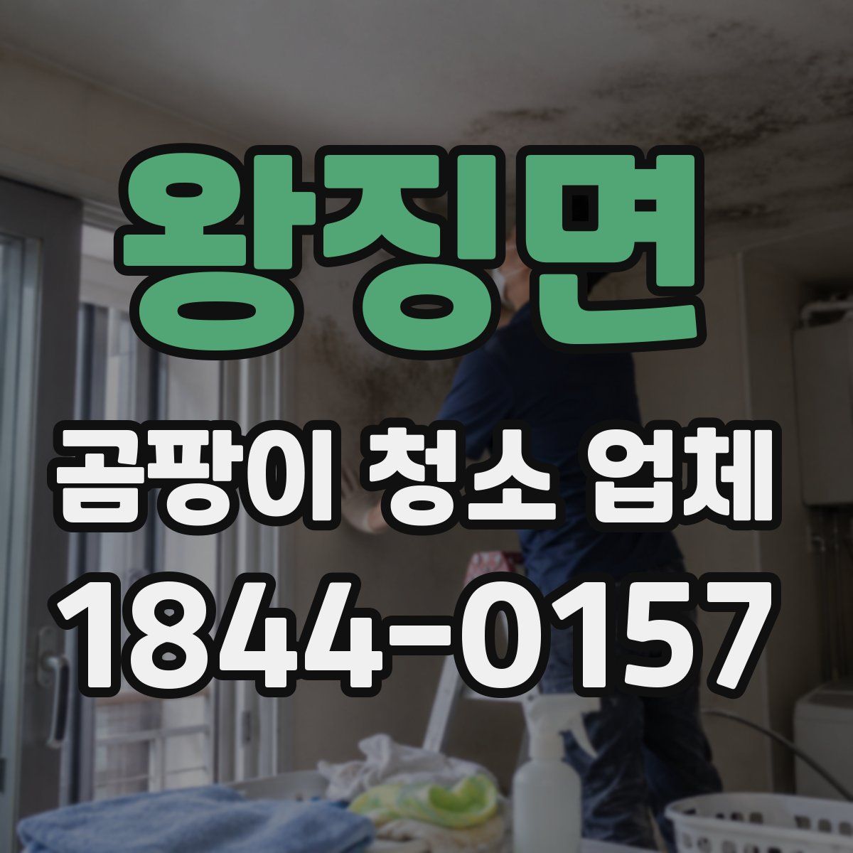 왕징면 곰팡이 청소 업체