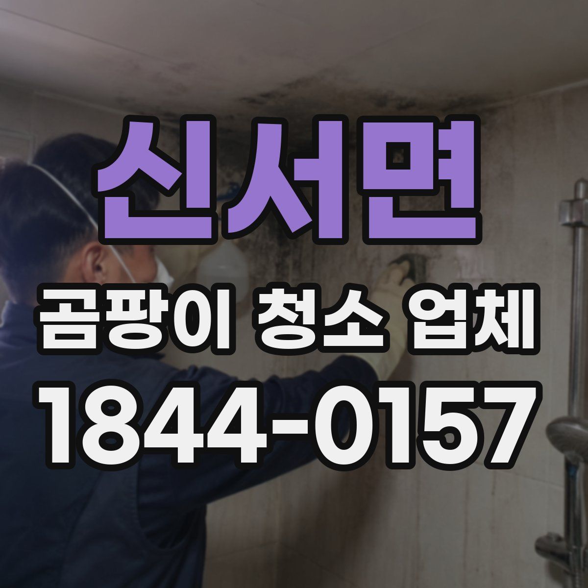 신서면 곰팡이 청소 업체