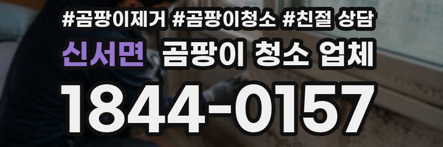 신서면 곰팡이 청소 업체