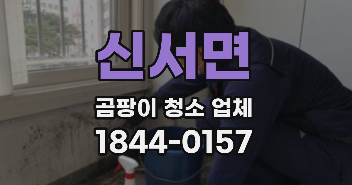 신서면 곰팡이 청소 업체