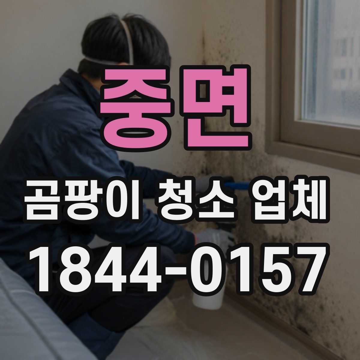중면 곰팡이 청소 업체