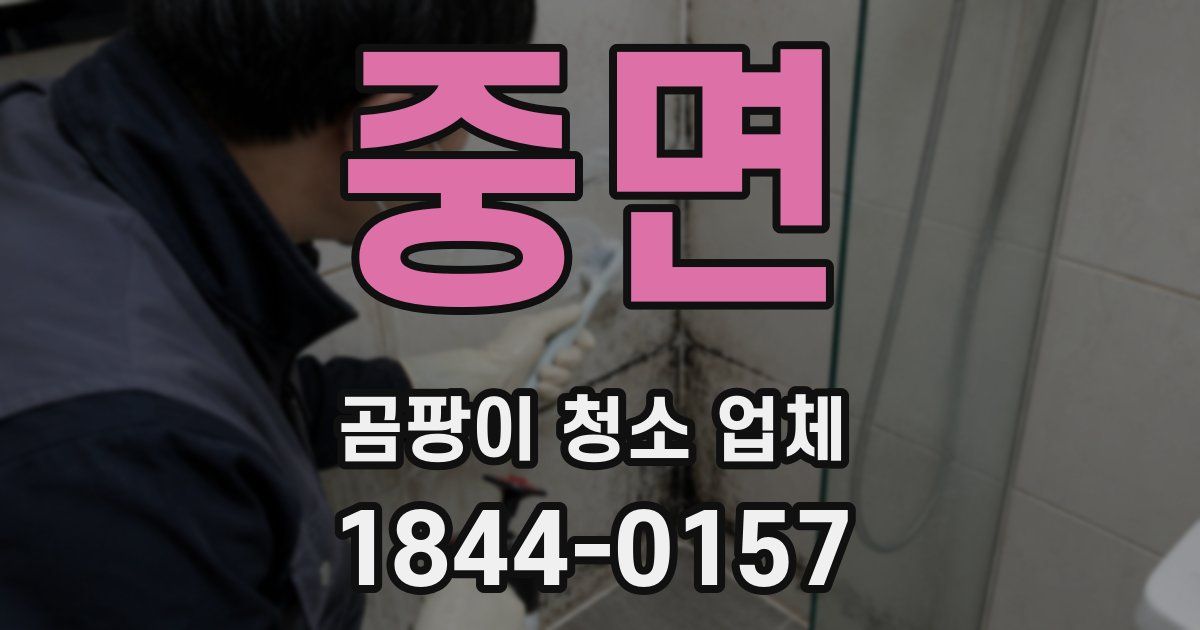 중면 곰팡이 청소 업체