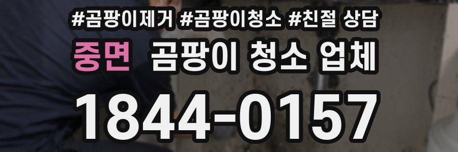 중면 곰팡이 청소 업체
