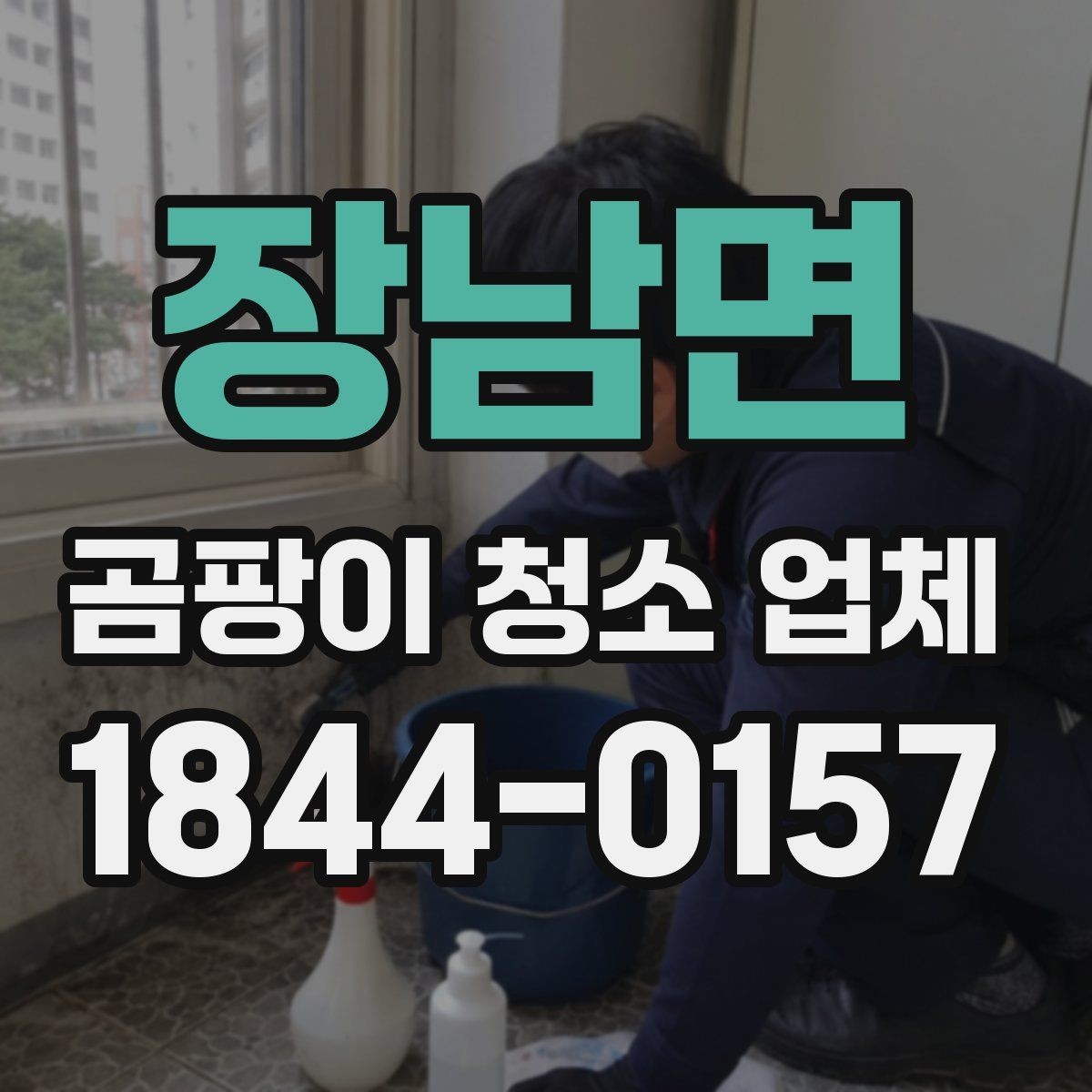 장남면 곰팡이 청소 업체 가격이 높아지는 경우 살펴보기