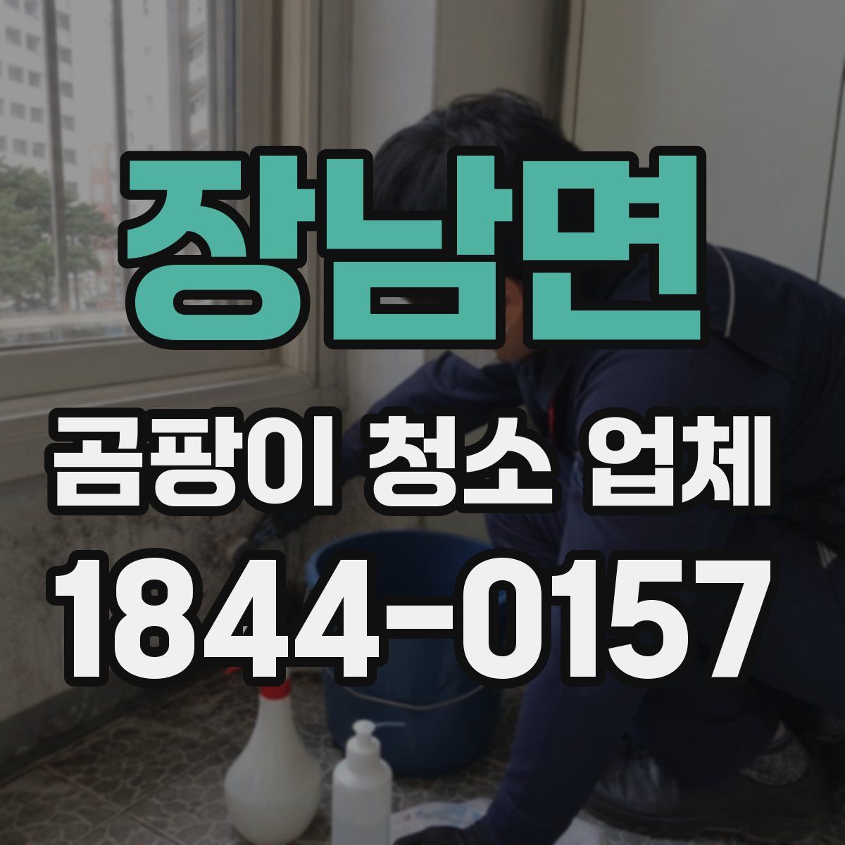 장남면 곰팡이 청소 업체