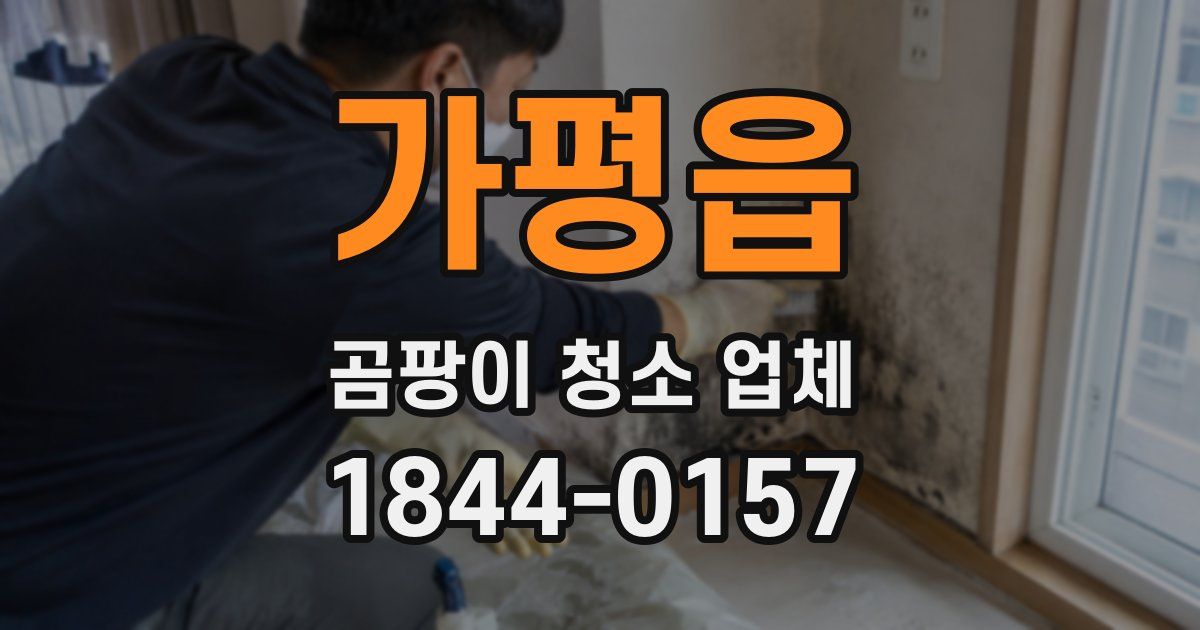 가평읍 곰팡이 청소 업체