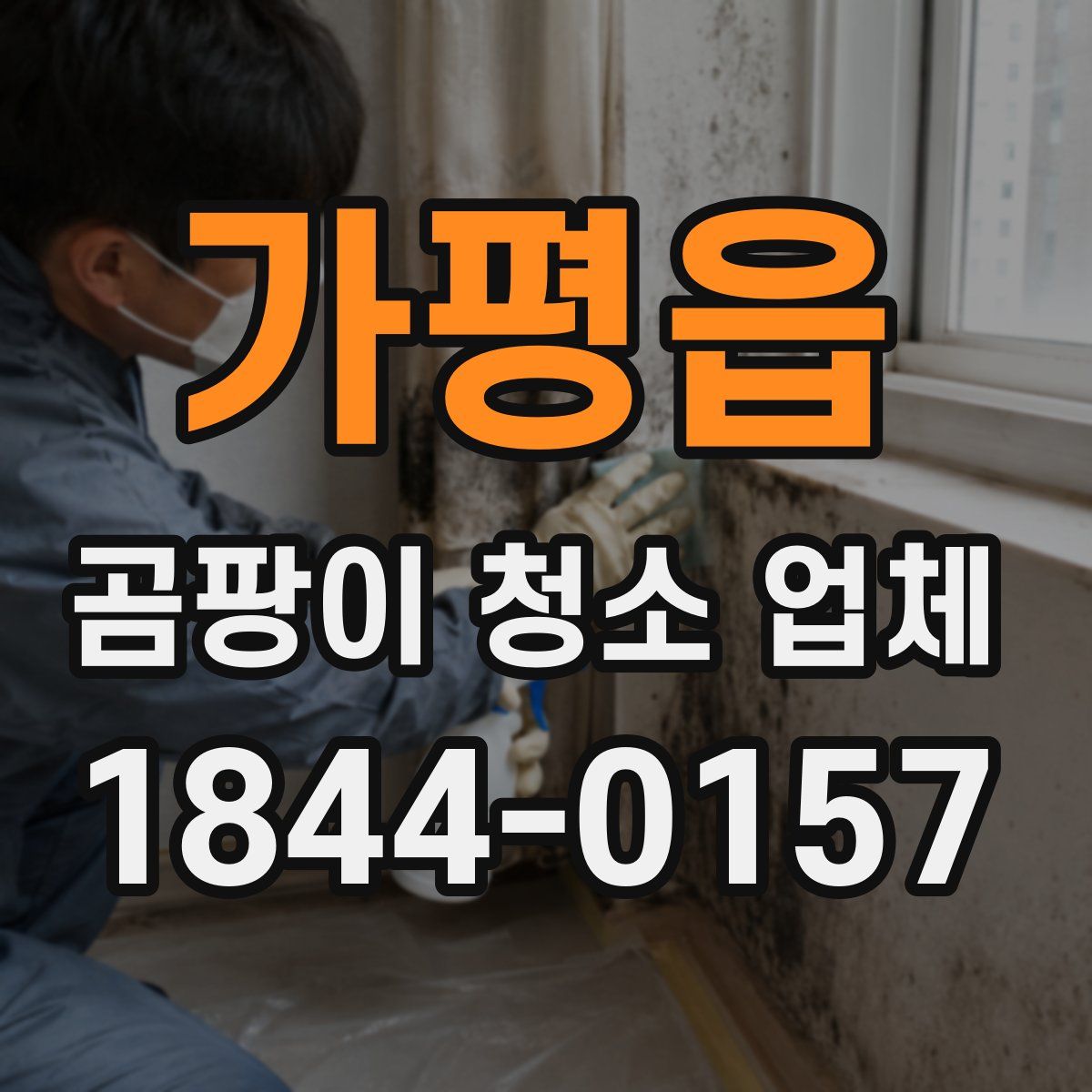 가평읍 곰팡이 청소 업체