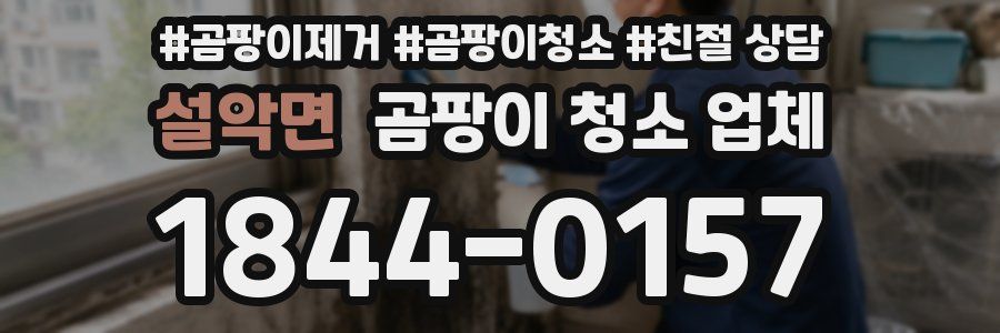 설악면 곰팡이 청소 업체
