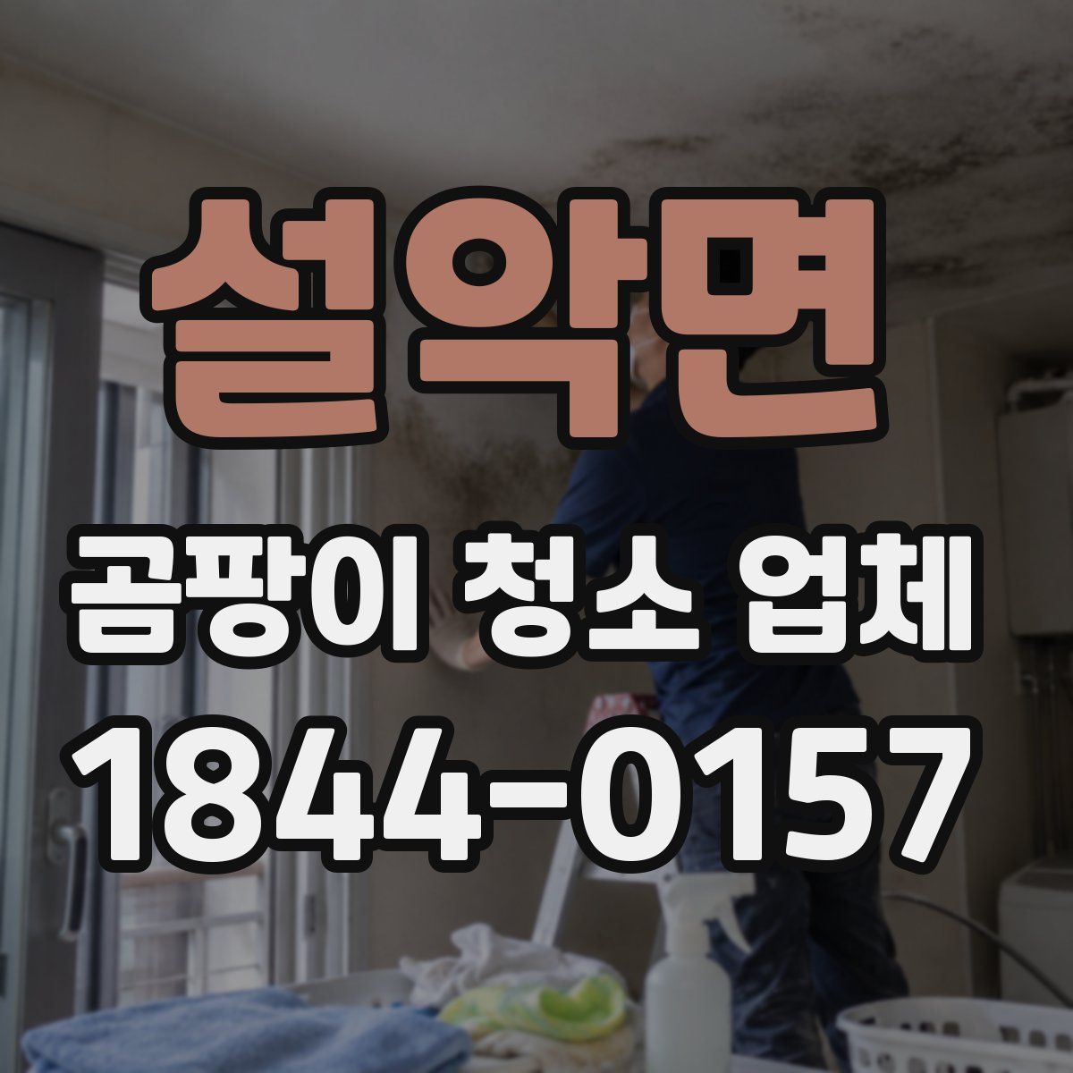 설악면 곰팡이 청소 업체