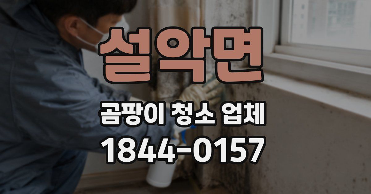 설악면 곰팡이 청소 업체